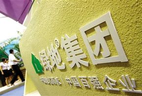 十大房企年內拿地支出480億元 綠地居首